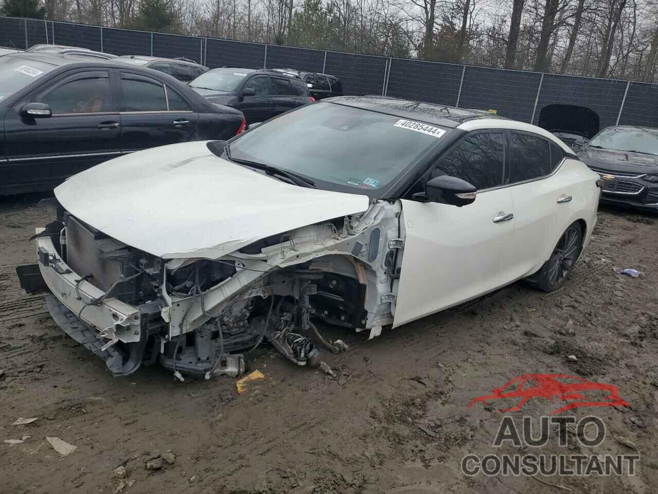 NISSAN MAXIMA 2019 - 1N4AA6AV9KC378386