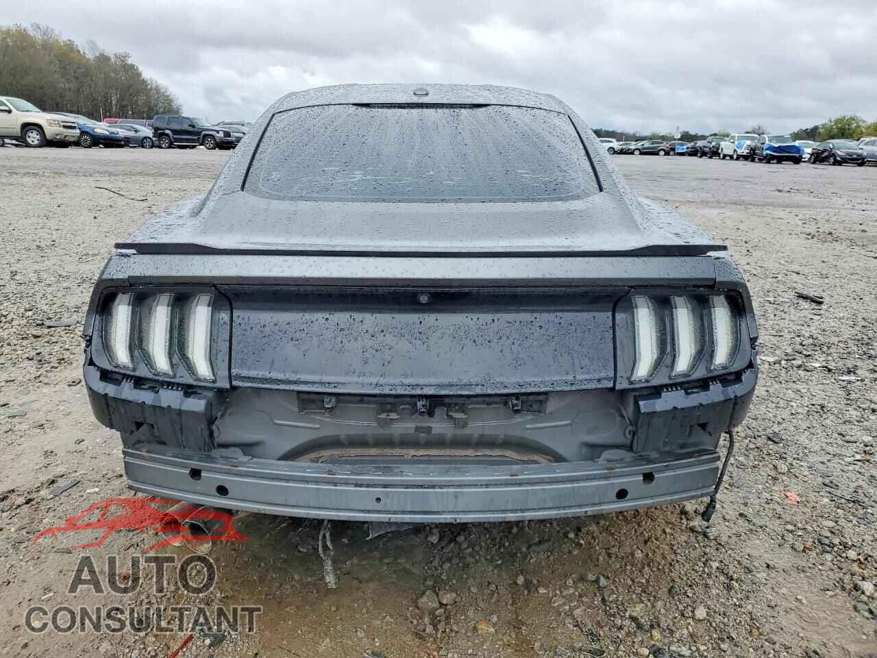 FORD MUSTANG 2019 - 1FA6P8CF8K5176391