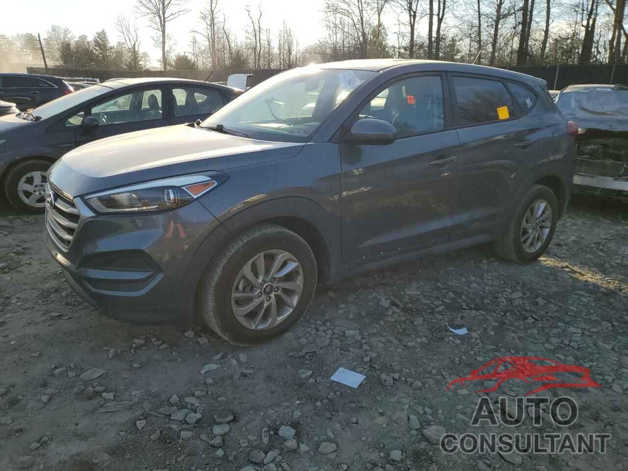 HYUNDAI TUCSON 2017 - KM8J23A44HU500700