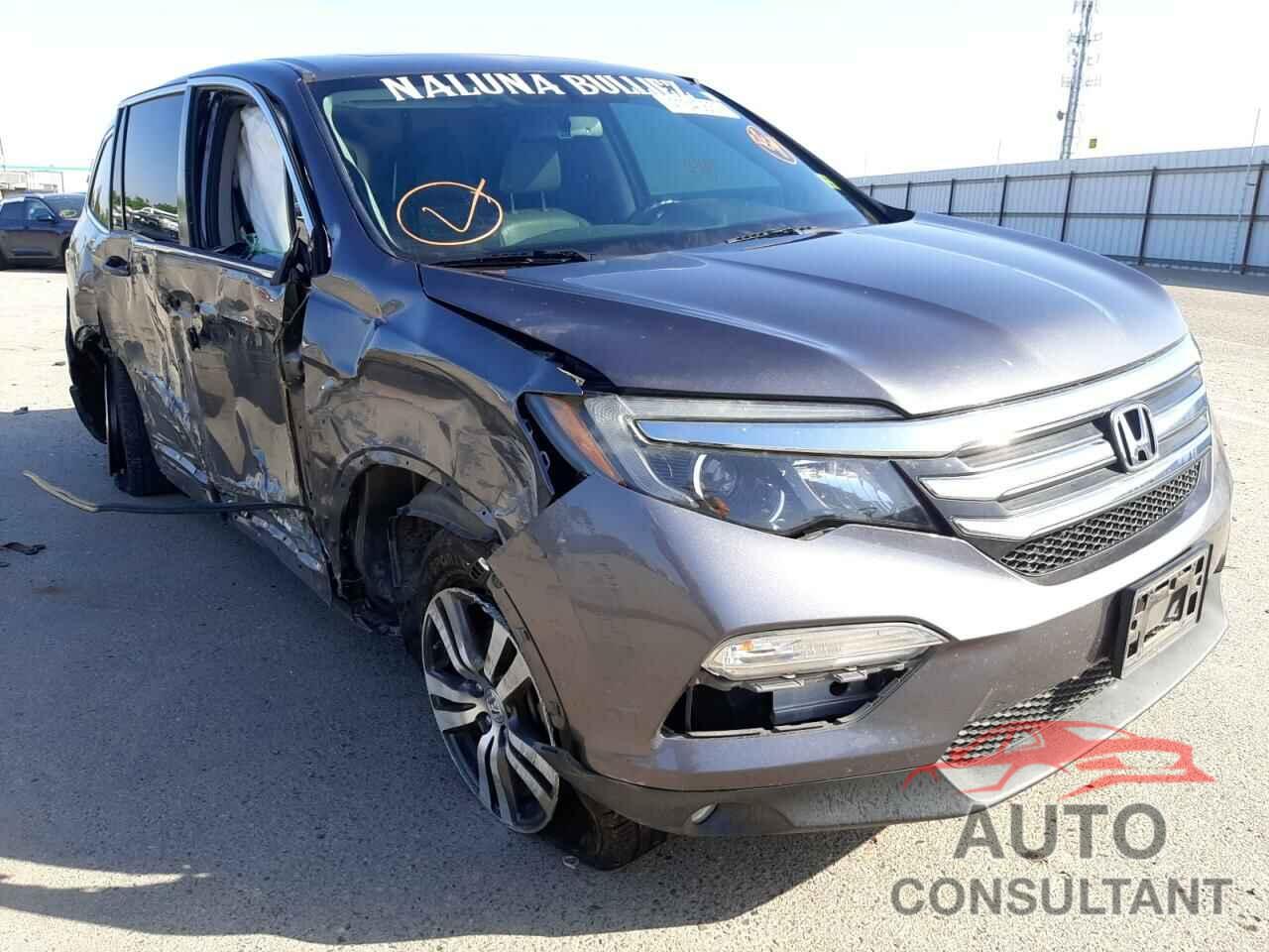 HONDA PILOT 2016 - 5FNYF5H53GB003744