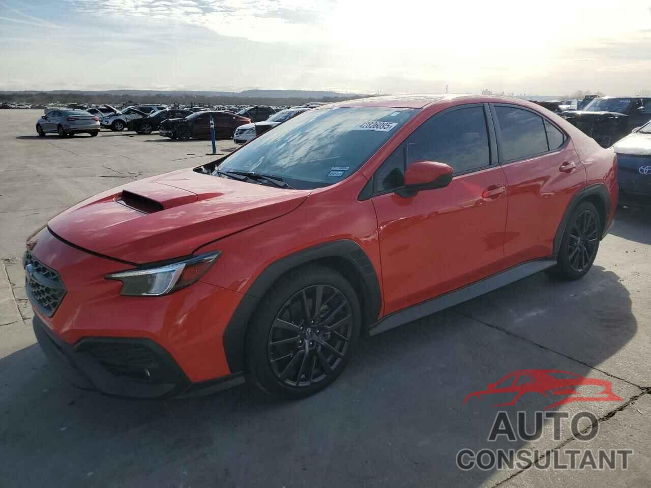 SUBARU WRX 2023 - JF1VBAF66P9812481
