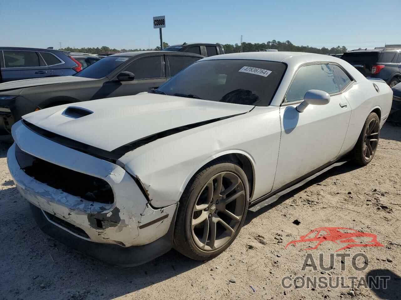 DODGE CHALLENGER 2019 - 2C3CDZBT9KH513389