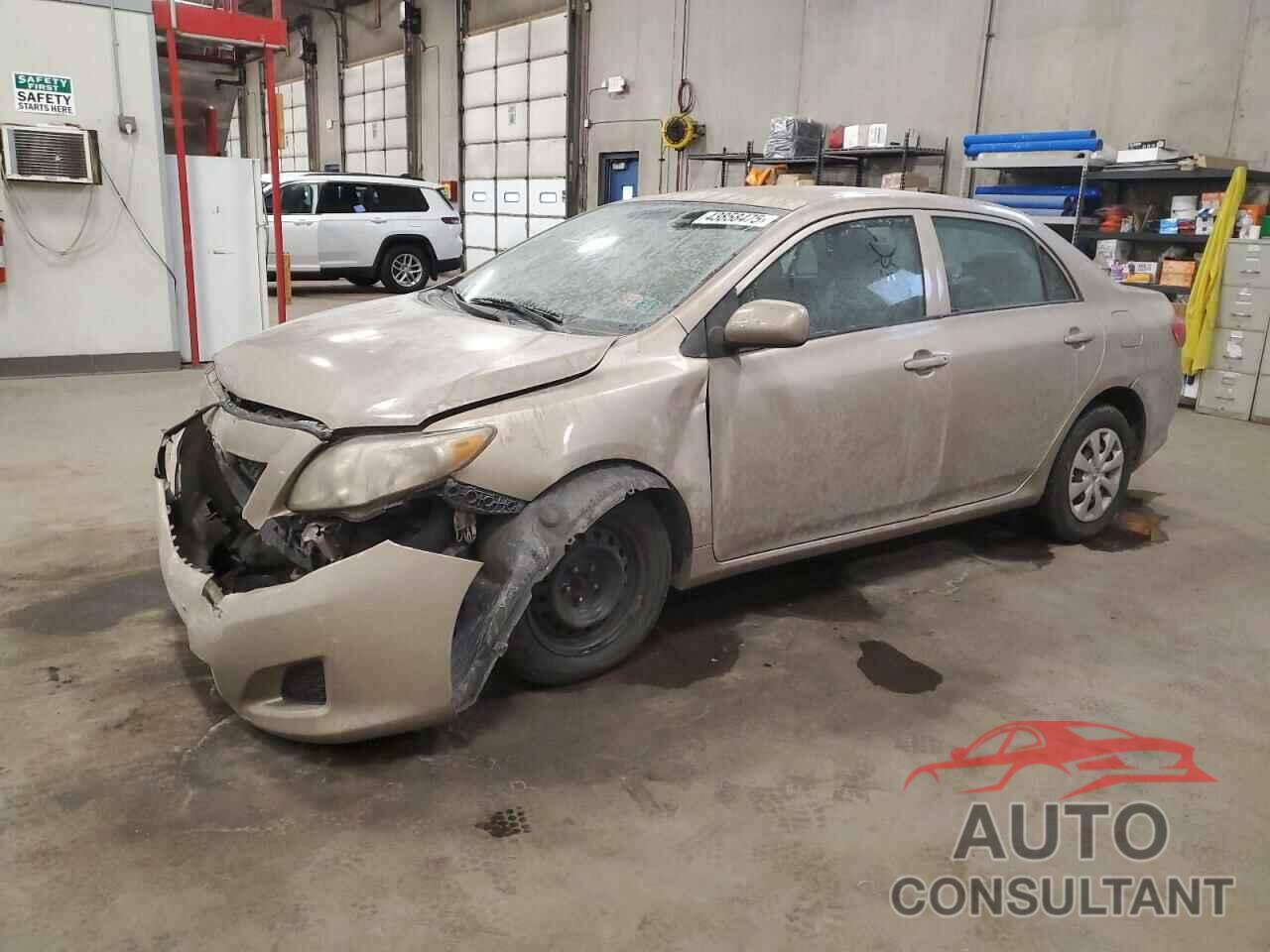 TOYOTA COROLLA 2010 - 2T1BU4EE3AC391788