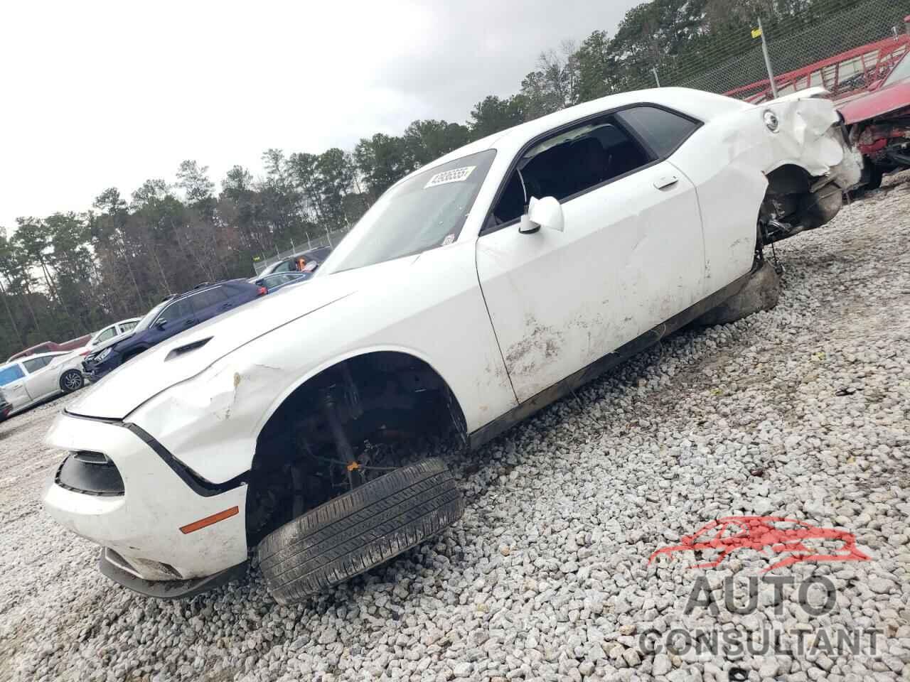 DODGE CHALLENGER 2019 - 2C3CDZAG2KH669519