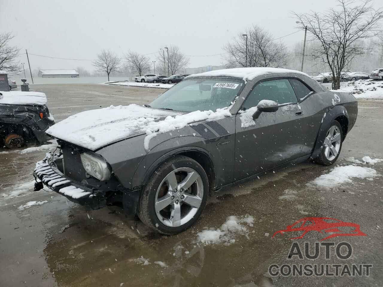 DODGE CHALLENGER 2009 - 2B3LJ54T29H503261