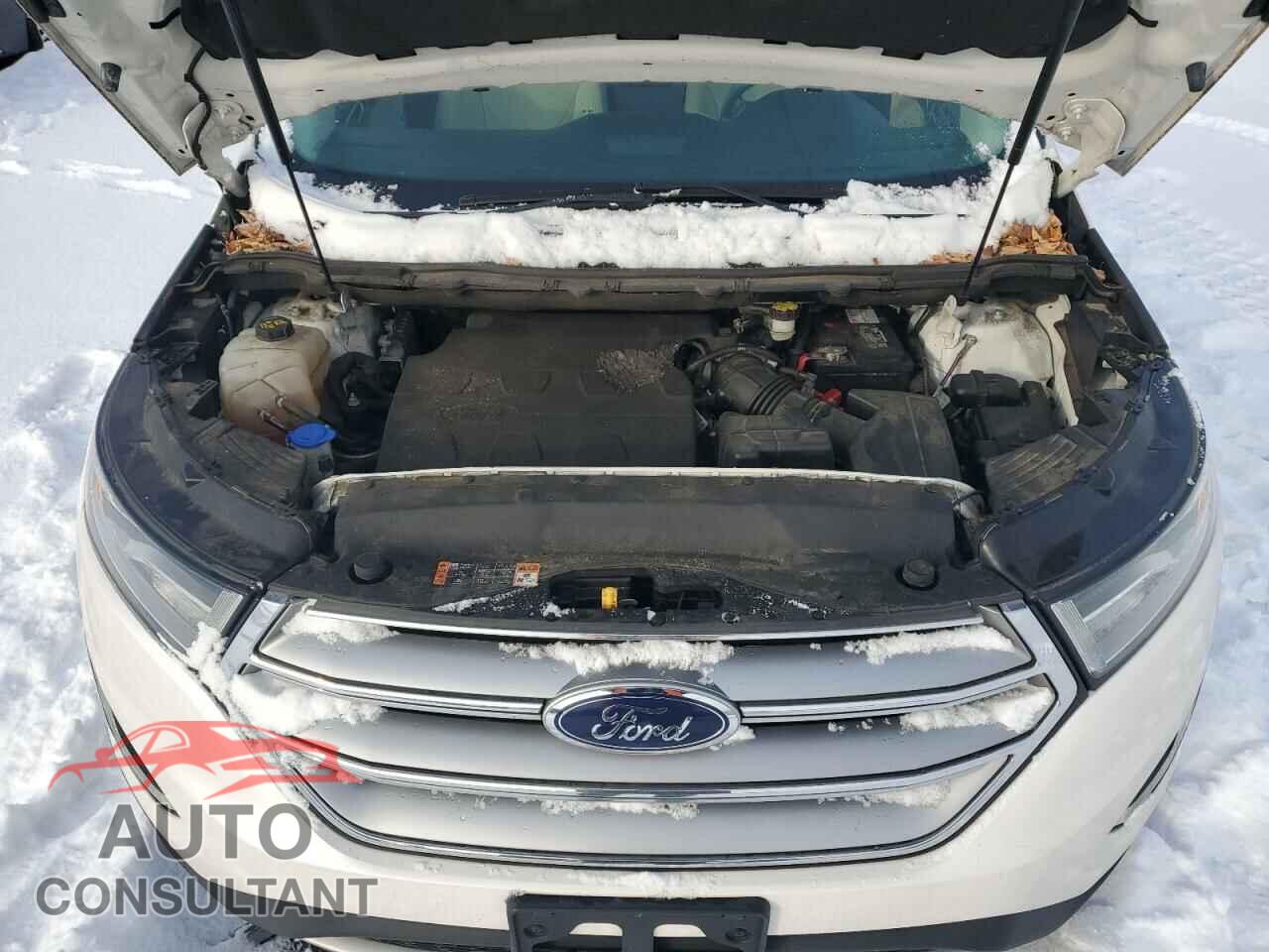 FORD EDGE 2017 - 2FMPK4K82HBB14140