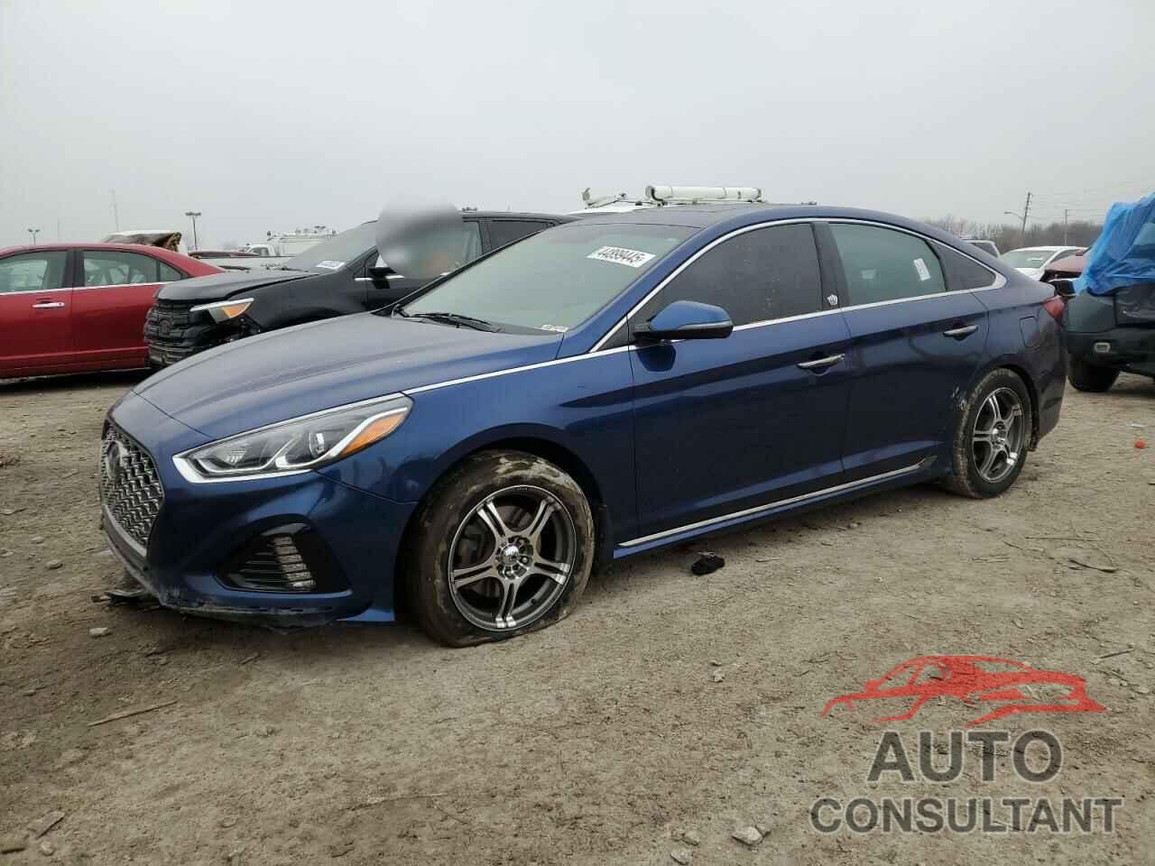 HYUNDAI SONATA 2019 - 5NPE34AFXKH815545
