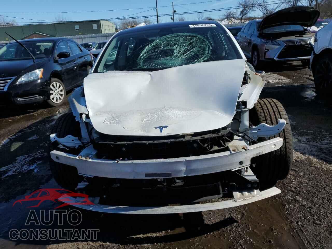 TESLA MODEL 3 2018 - 5YJ3E1EB2JF131271