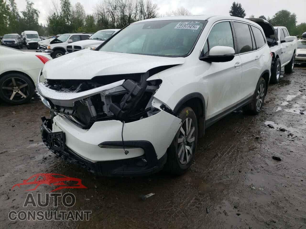 HONDA PILOT 2021 - 5FNYF6H53MB057059