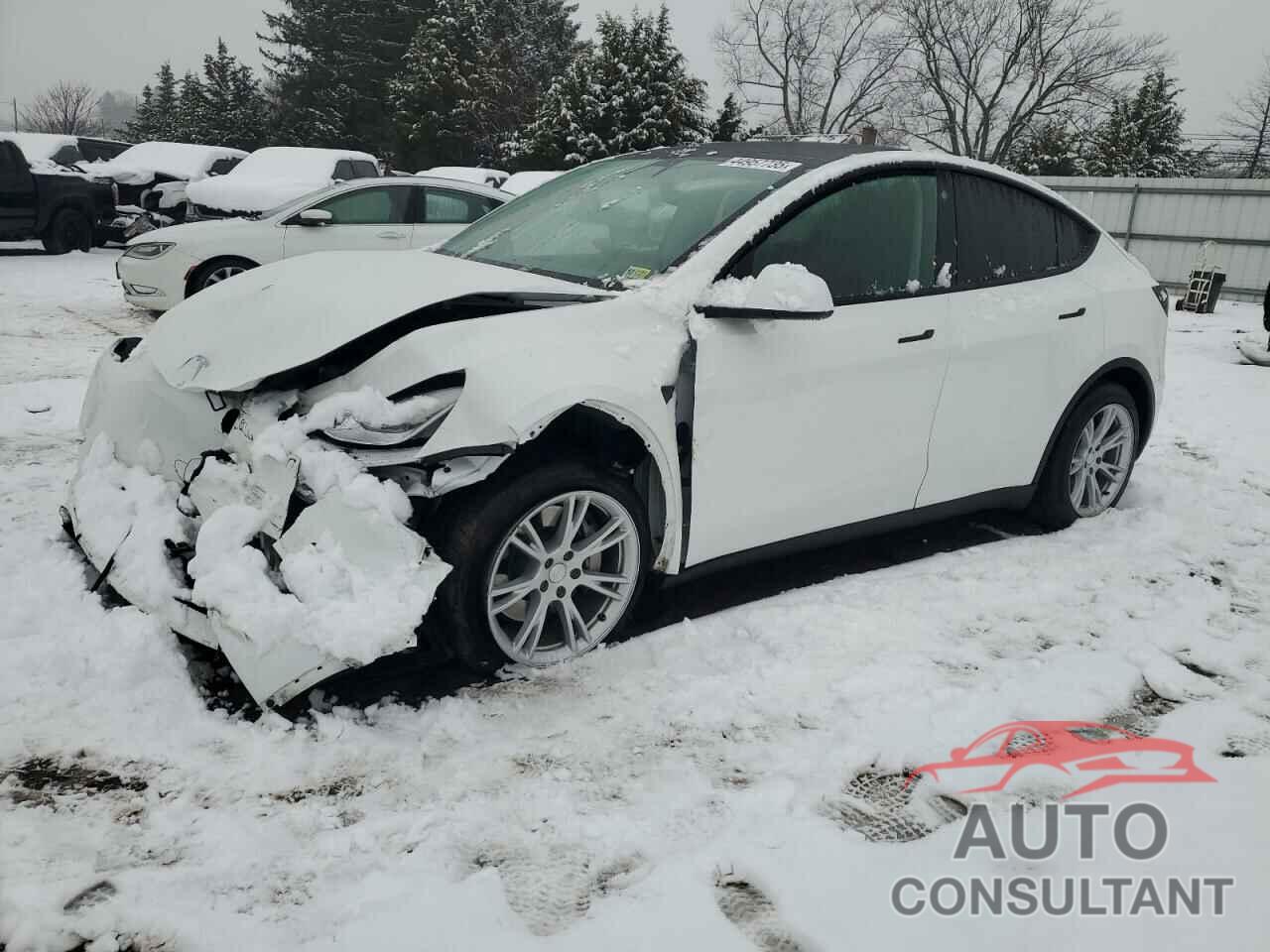 TESLA MODEL Y 2021 - 5YJYGDEE2MF233248