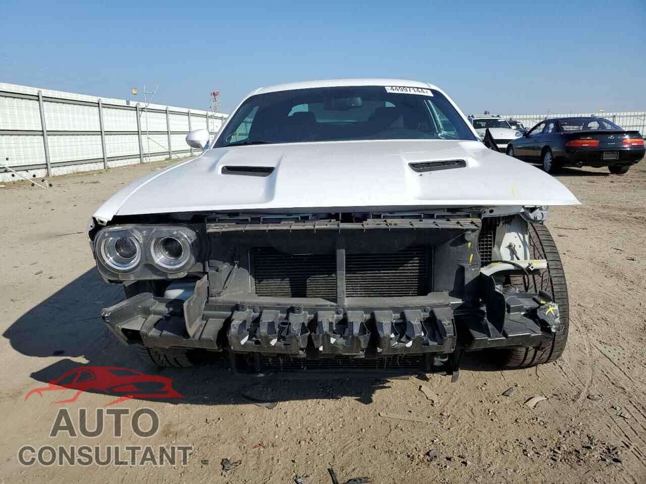 DODGE CHALLENGER 2019 - 2C3CDZAG9KH723396