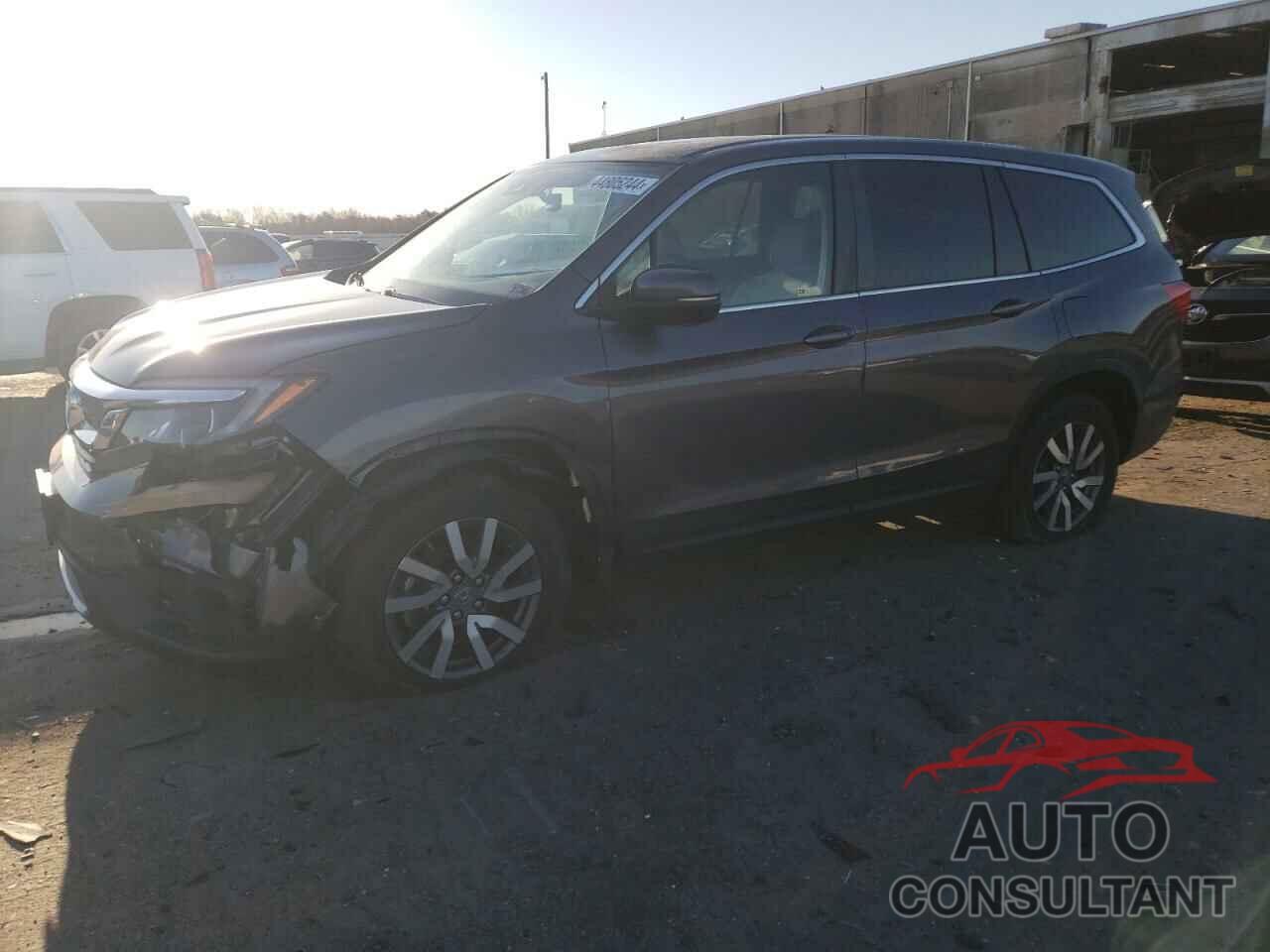 HONDA PILOT 2019 - 5FNYF6H54KB070254