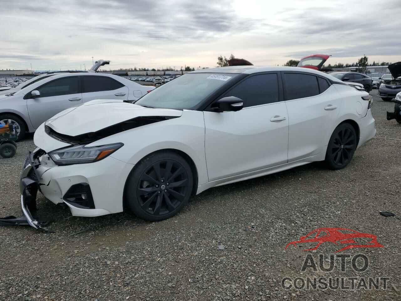 NISSAN MAXIMA 2019 - 1N4AA6AV6KC361920