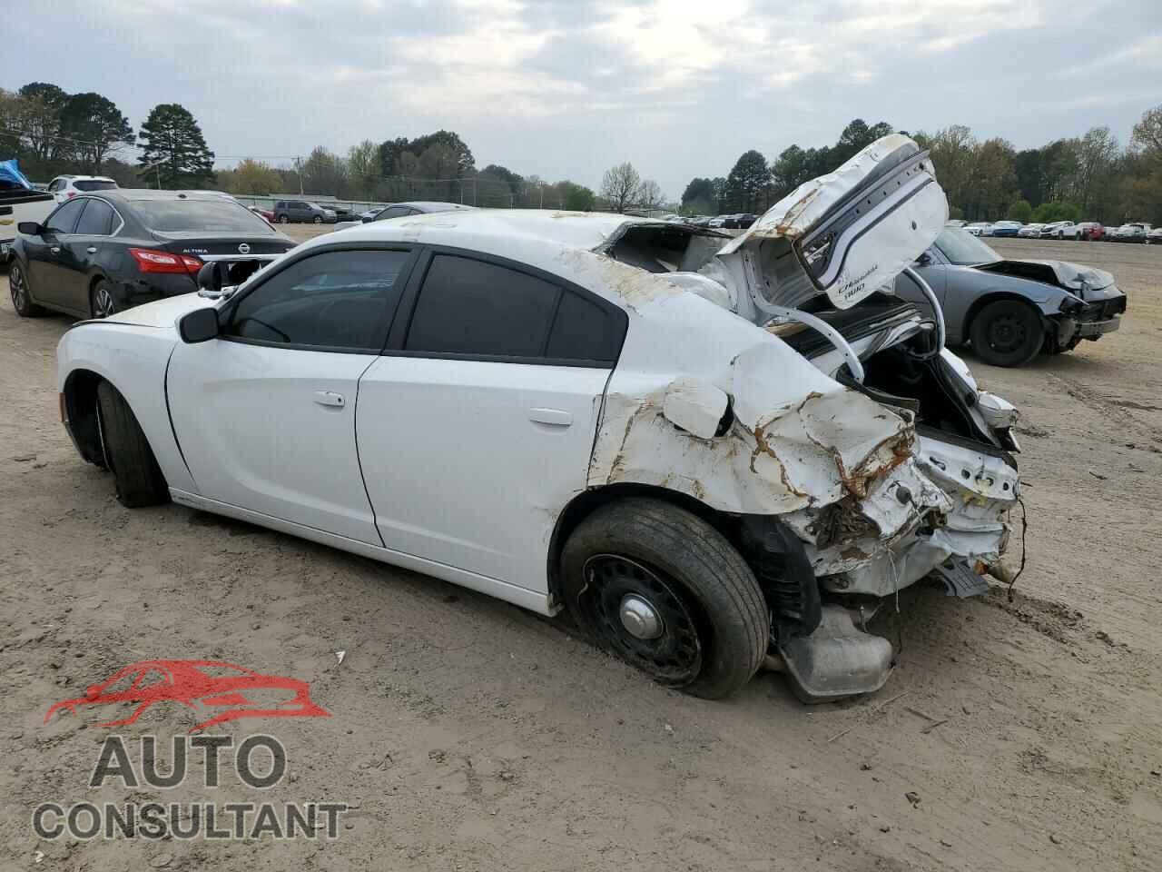 DODGE CHARGER 2019 - 2C3CDXKT2KH730335
