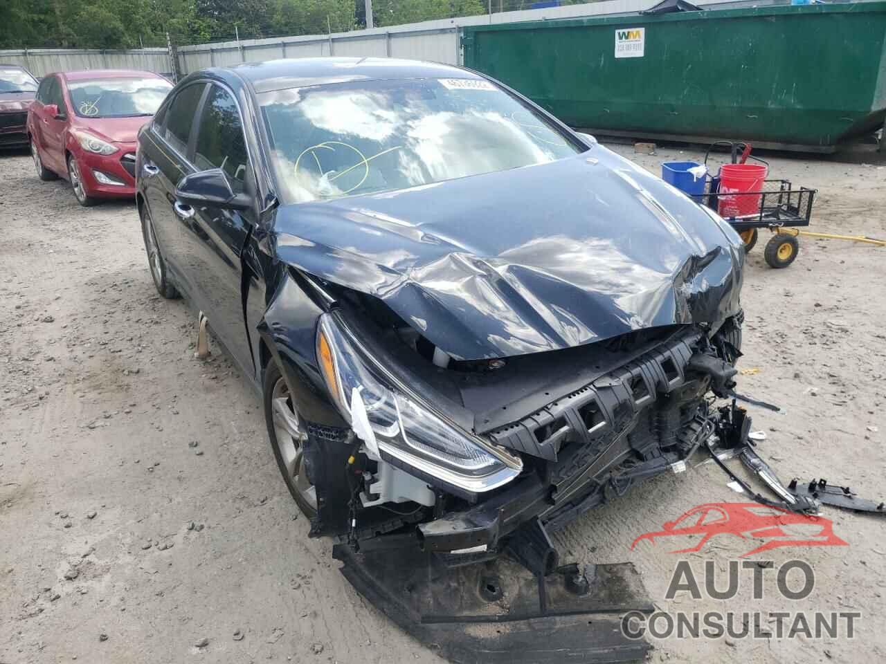HYUNDAI SONATA 2019 - 5NPE34AF1KH741898