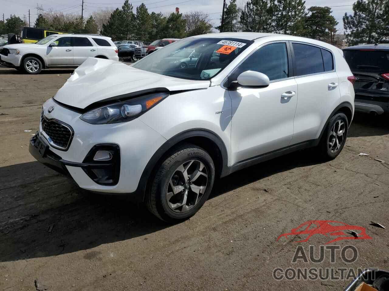 KIA SPORTAGE 2022 - KNDPMCAC3N7992825