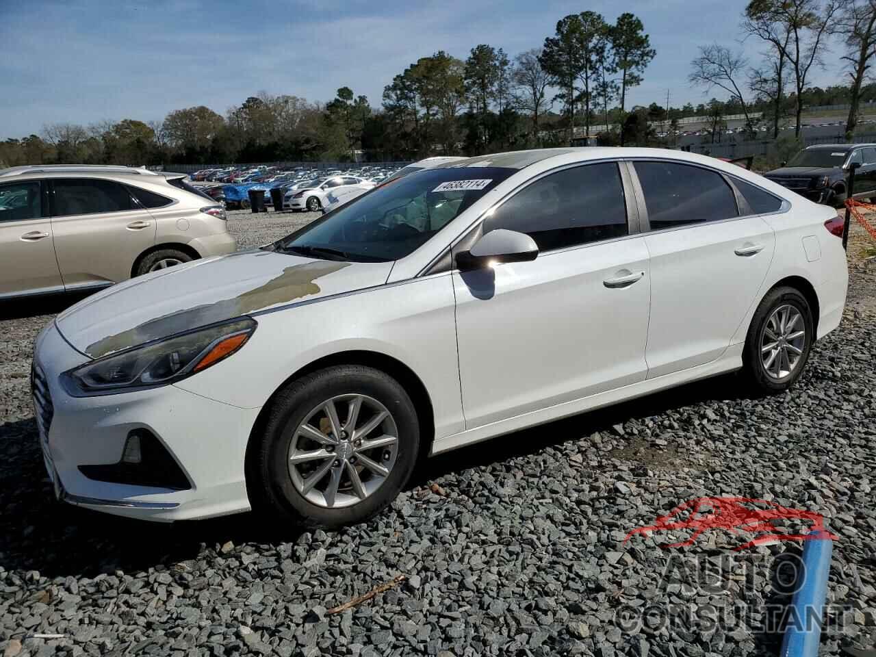HYUNDAI SONATA 2018 - 5NPE24AF5JH638002