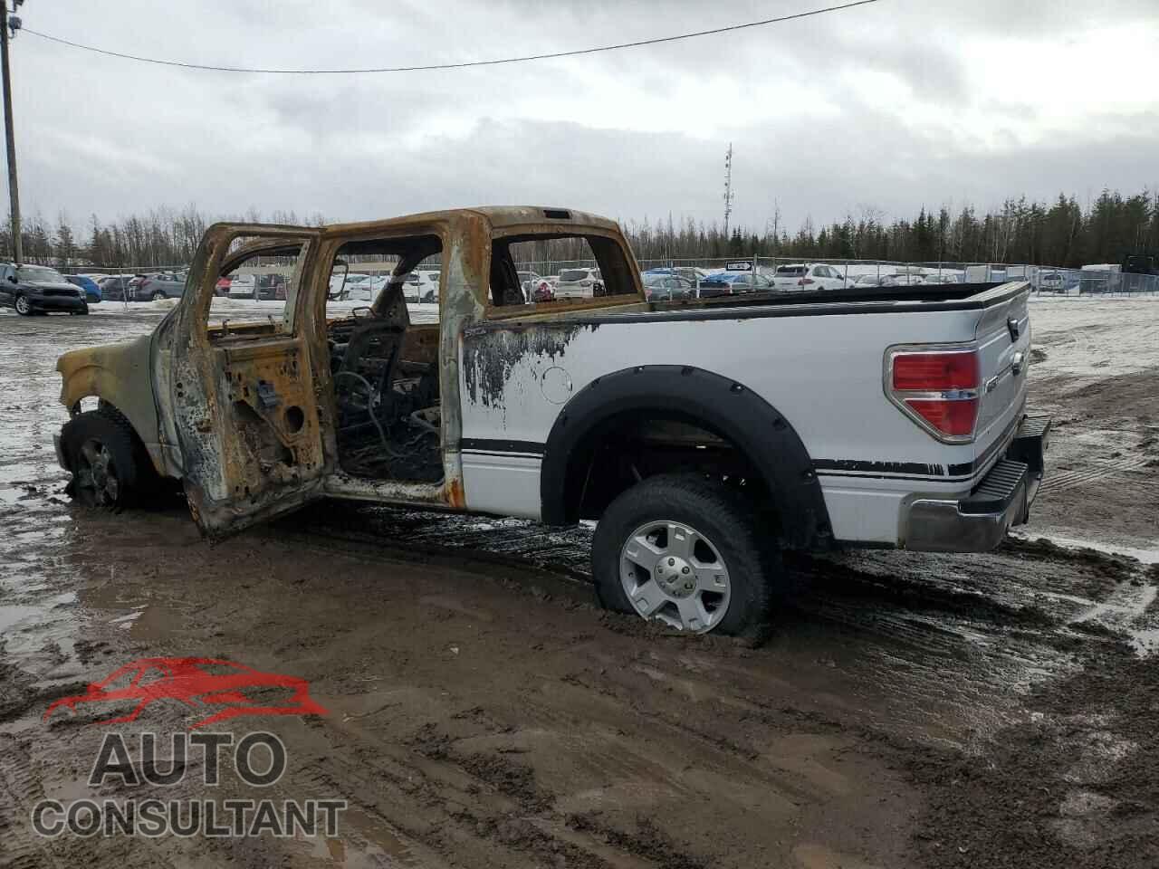 FORD F-150 2013 - 1FTFW1EF2DFD58408