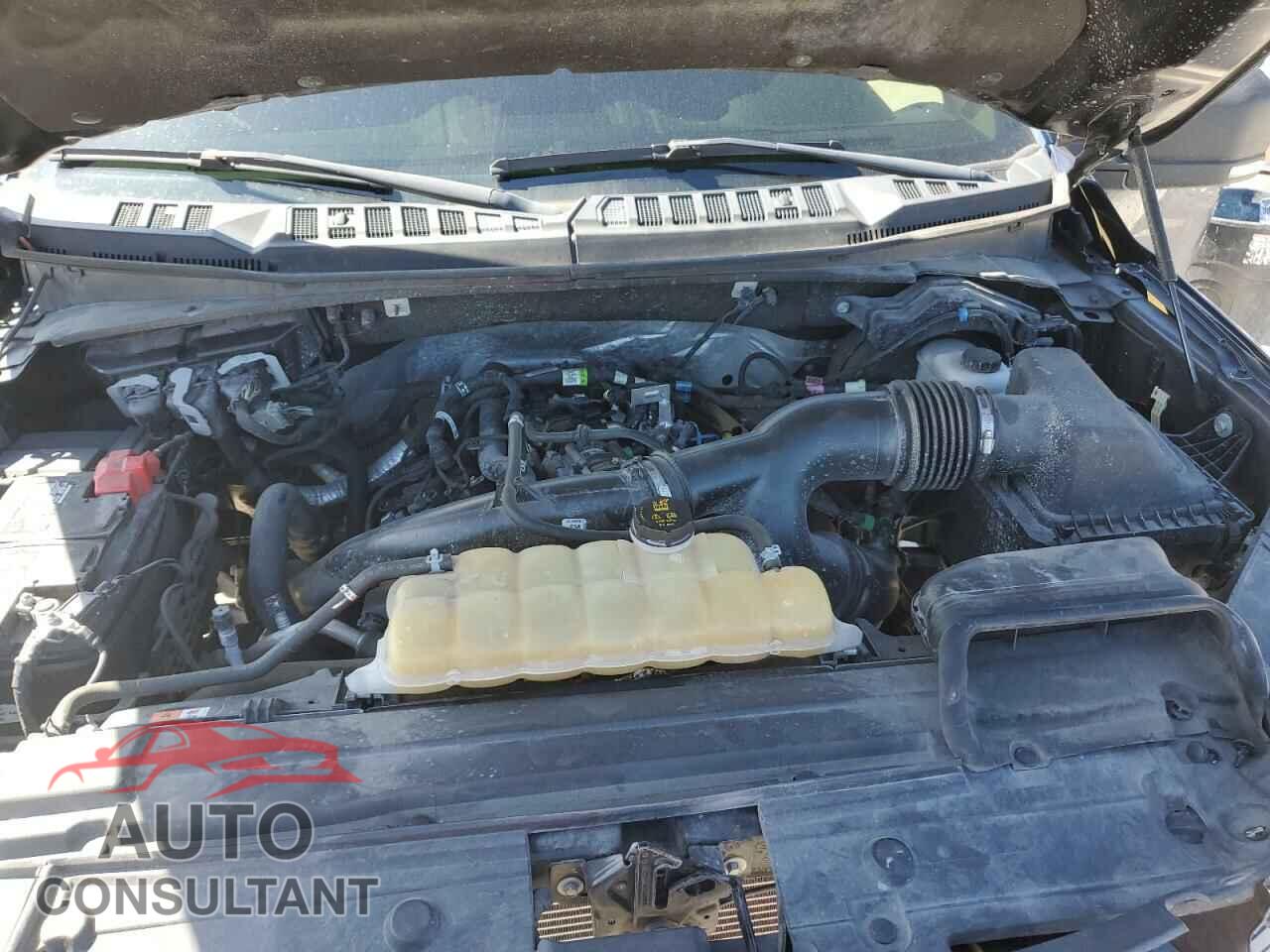 FORD F-150 2020 - 1FTEW1EP8LKF49602