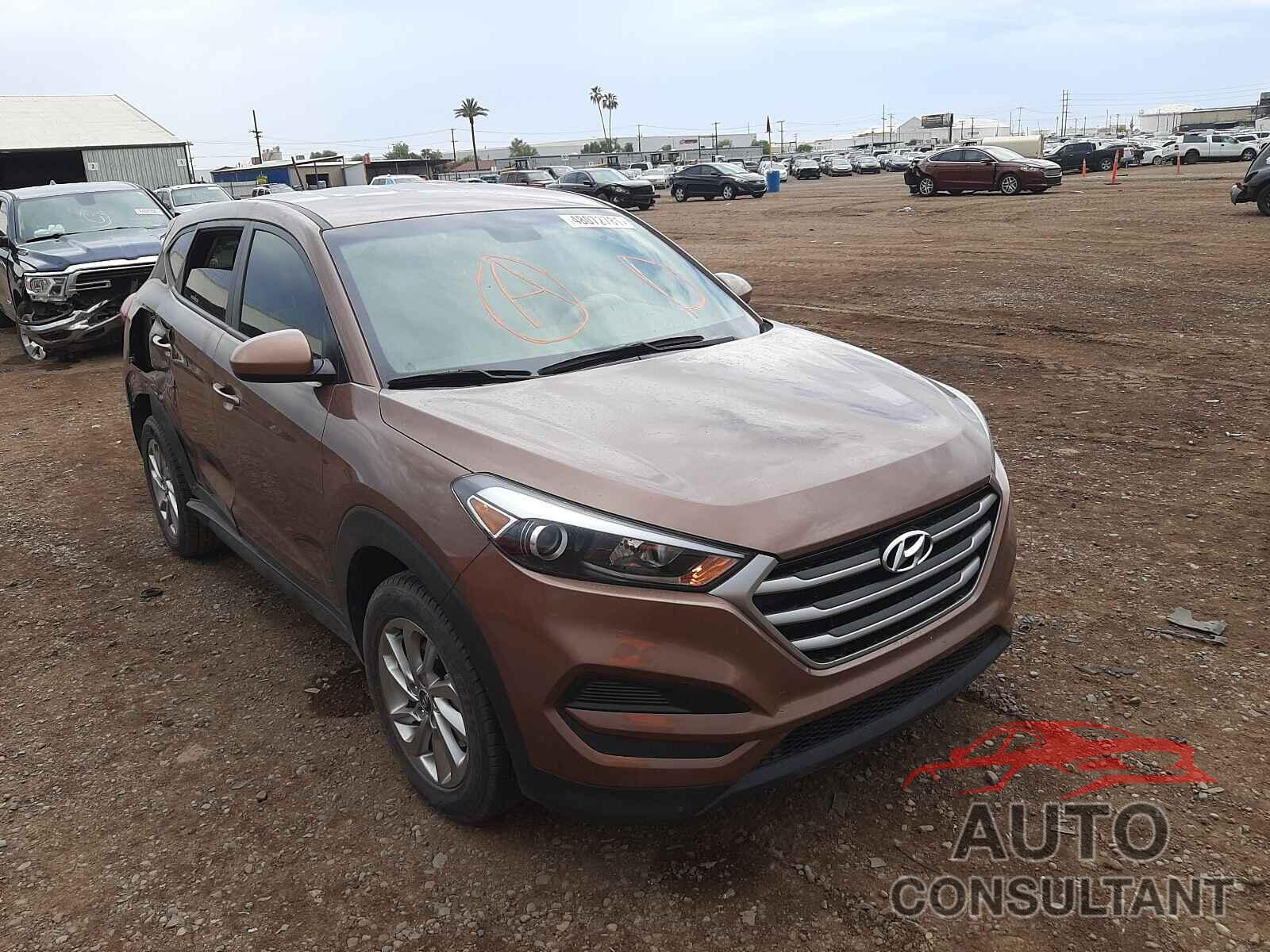 HYUNDAI TUCSON 2017 - KM8J23A40HU549649