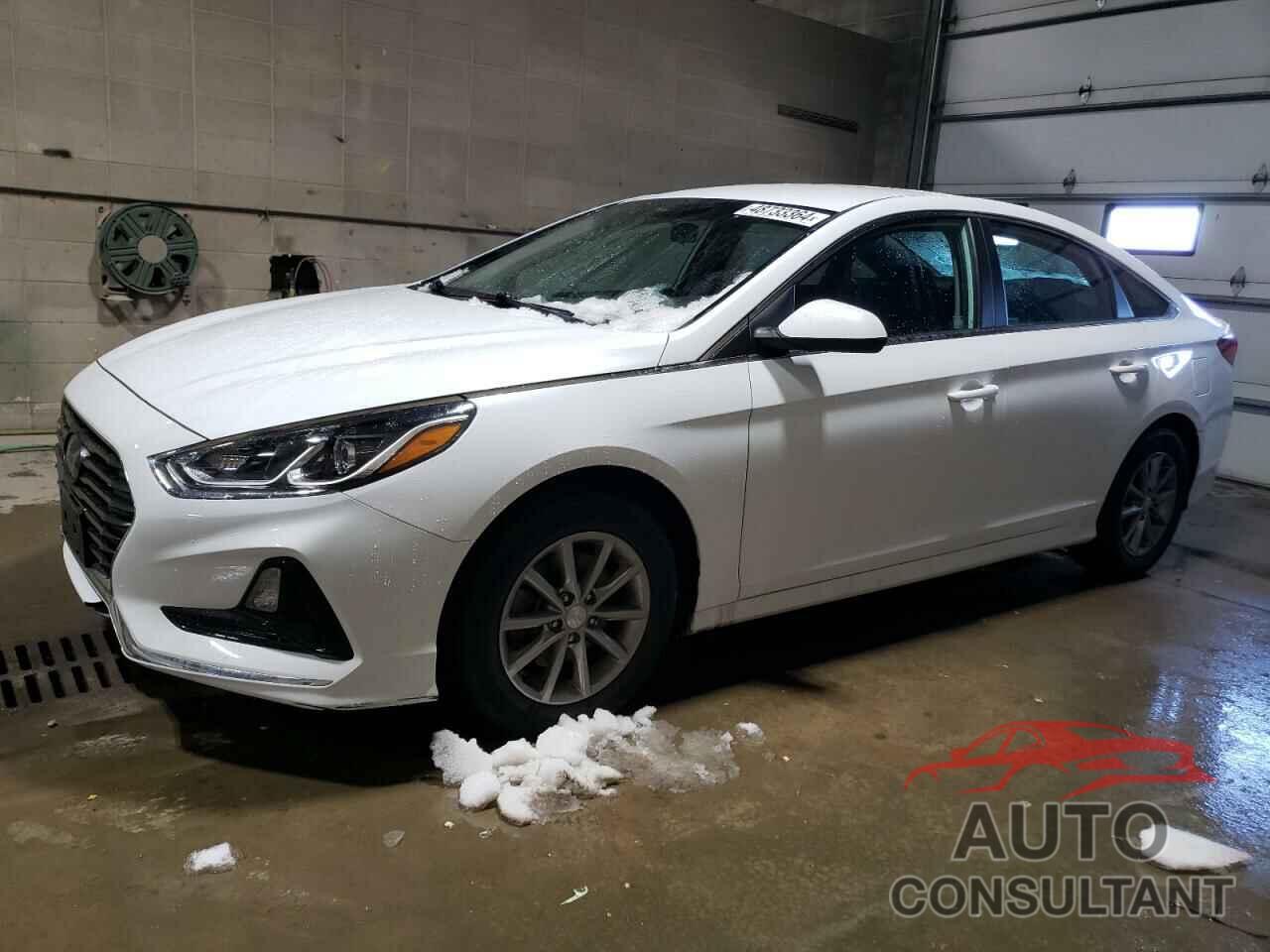 HYUNDAI SONATA 2019 - 5NPE24AF2KH769891