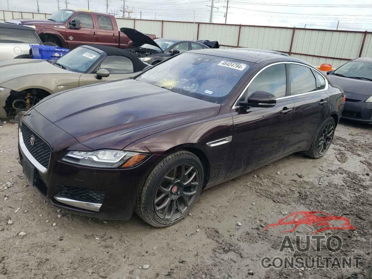 JAGUAR XF 2016 - SAJBJ4BV9GCY16429