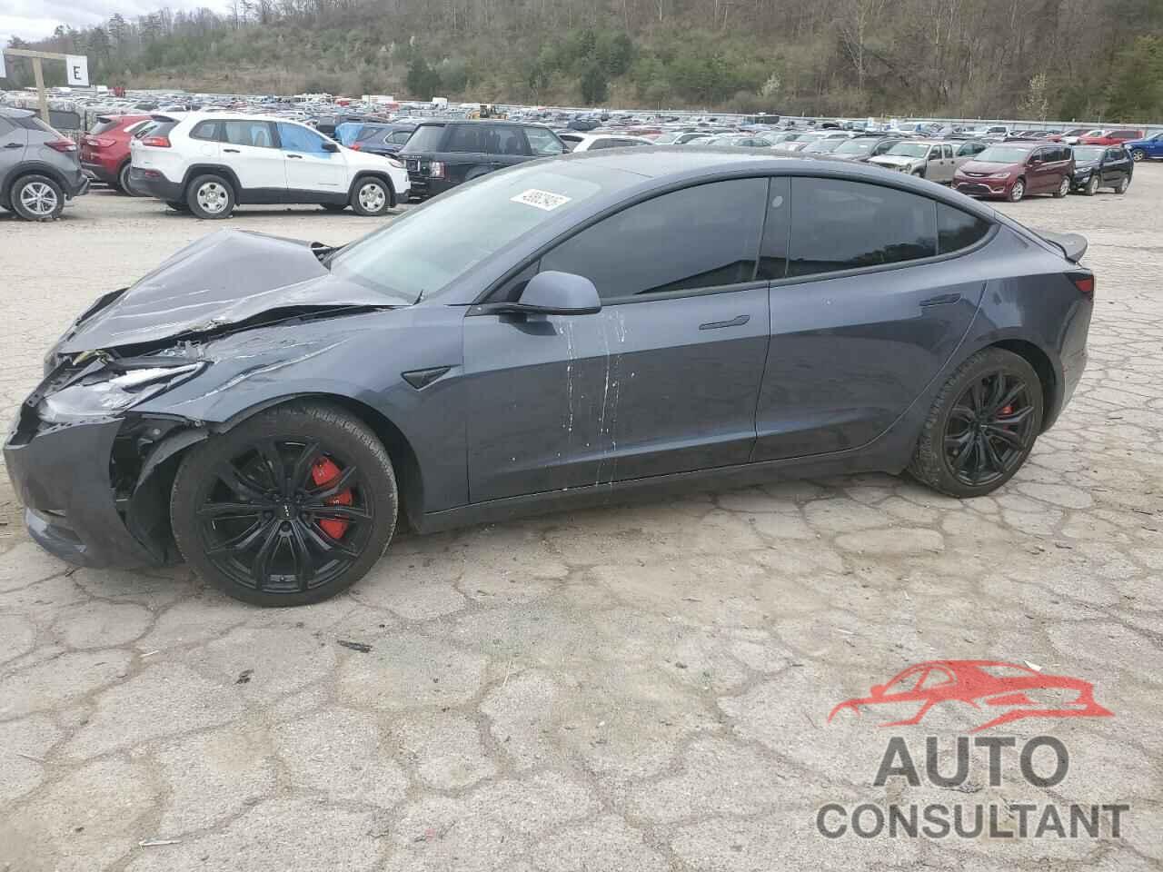 TESLA MODEL 3 2019 - 5YJ3E1EB0KF530018