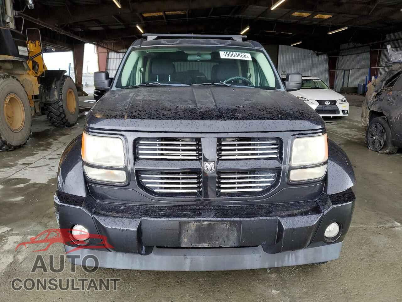 DODGE NITRO 2011 - 1D4PT4GK0BW528743