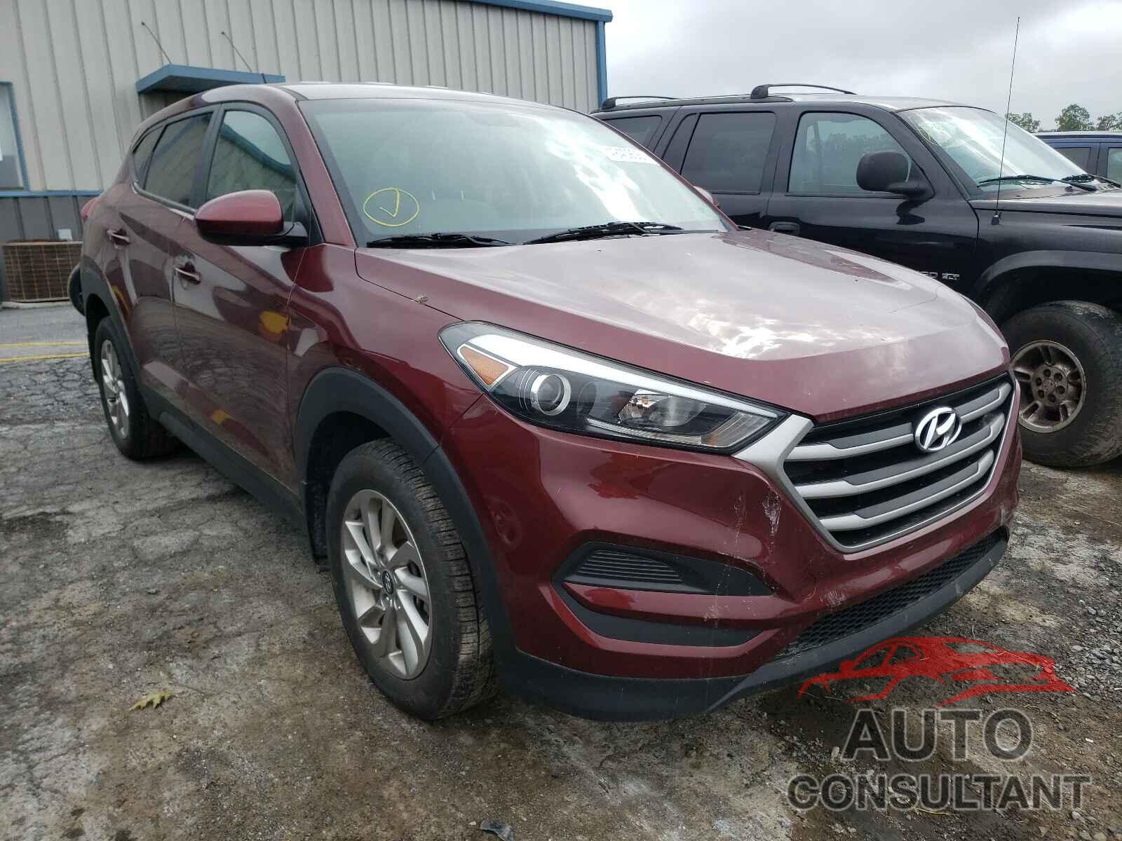 HYUNDAI TUCSON 2017 - KM8J23A48HU385874