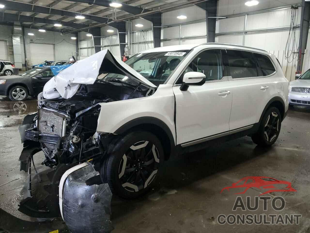 KIA TELLURIDE 2024 - 5XYP6DGC0RG450825