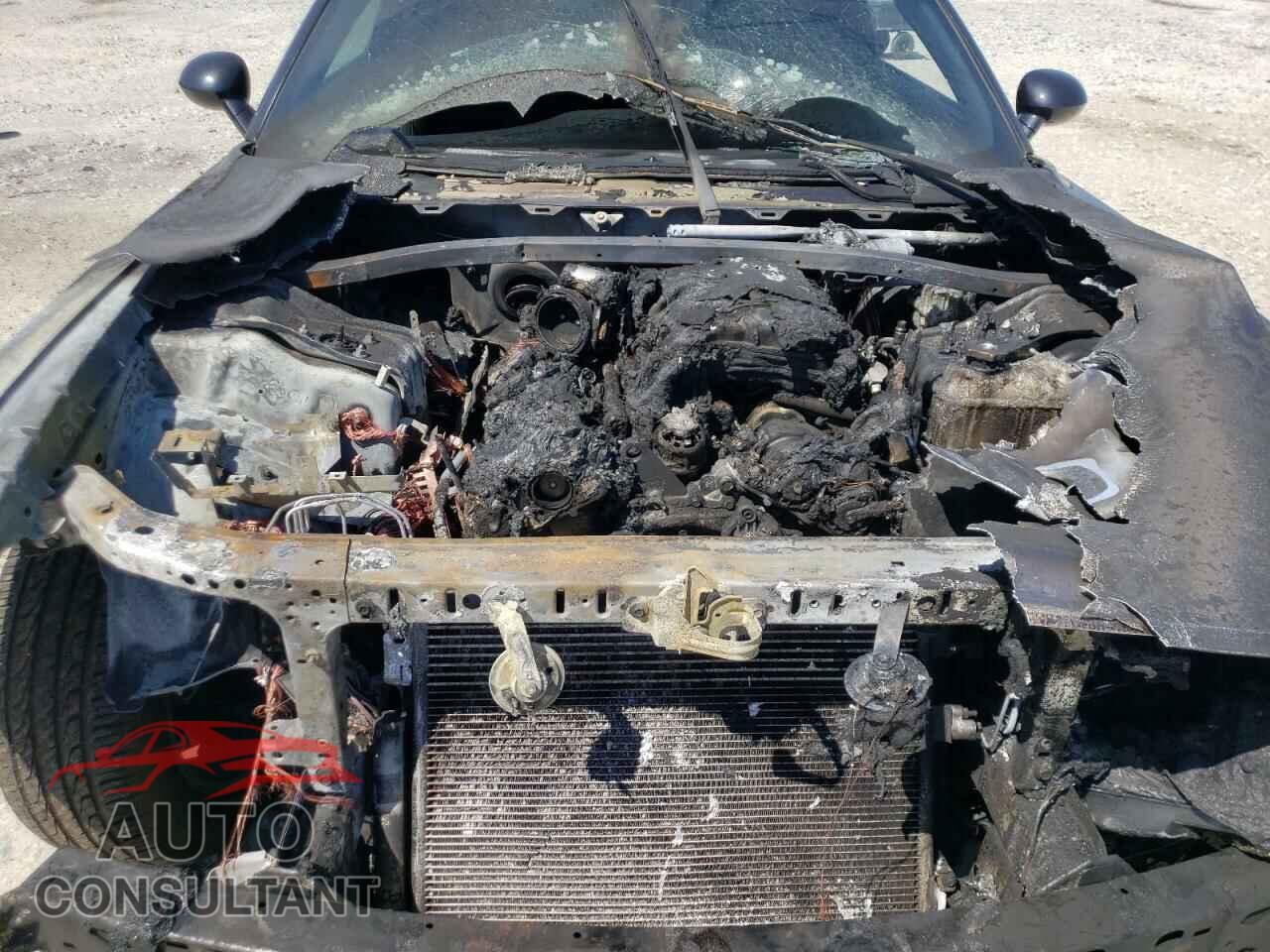 DODGE CHALLENGER 2019 - 2C3CDZGG4KH677869