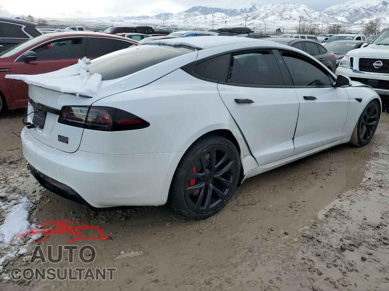 TESLA MODEL S 2023 - 5YJSA1E62PF514632
