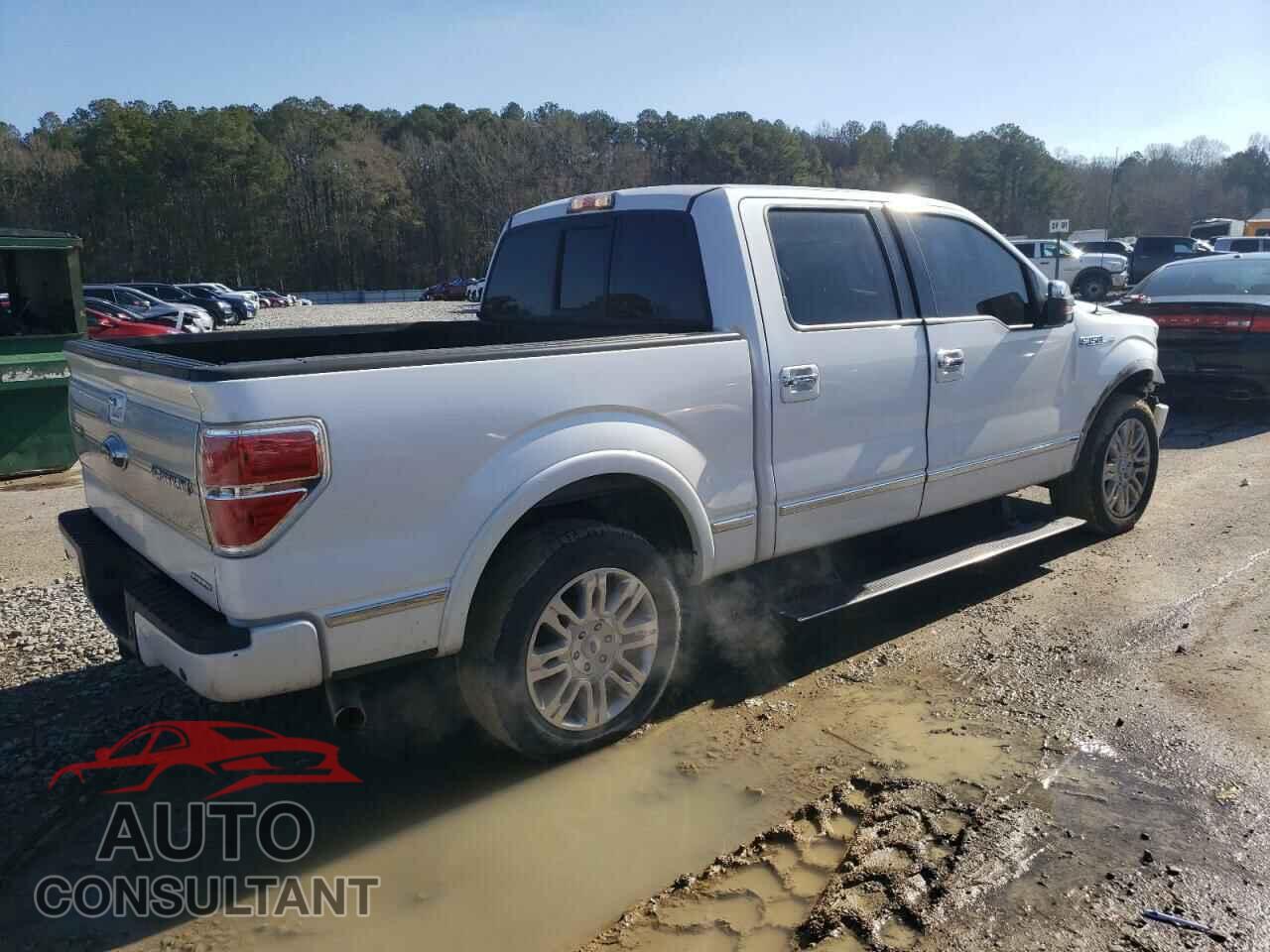 FORD F-150 2011 - 1FTFW1CF2BFC85296