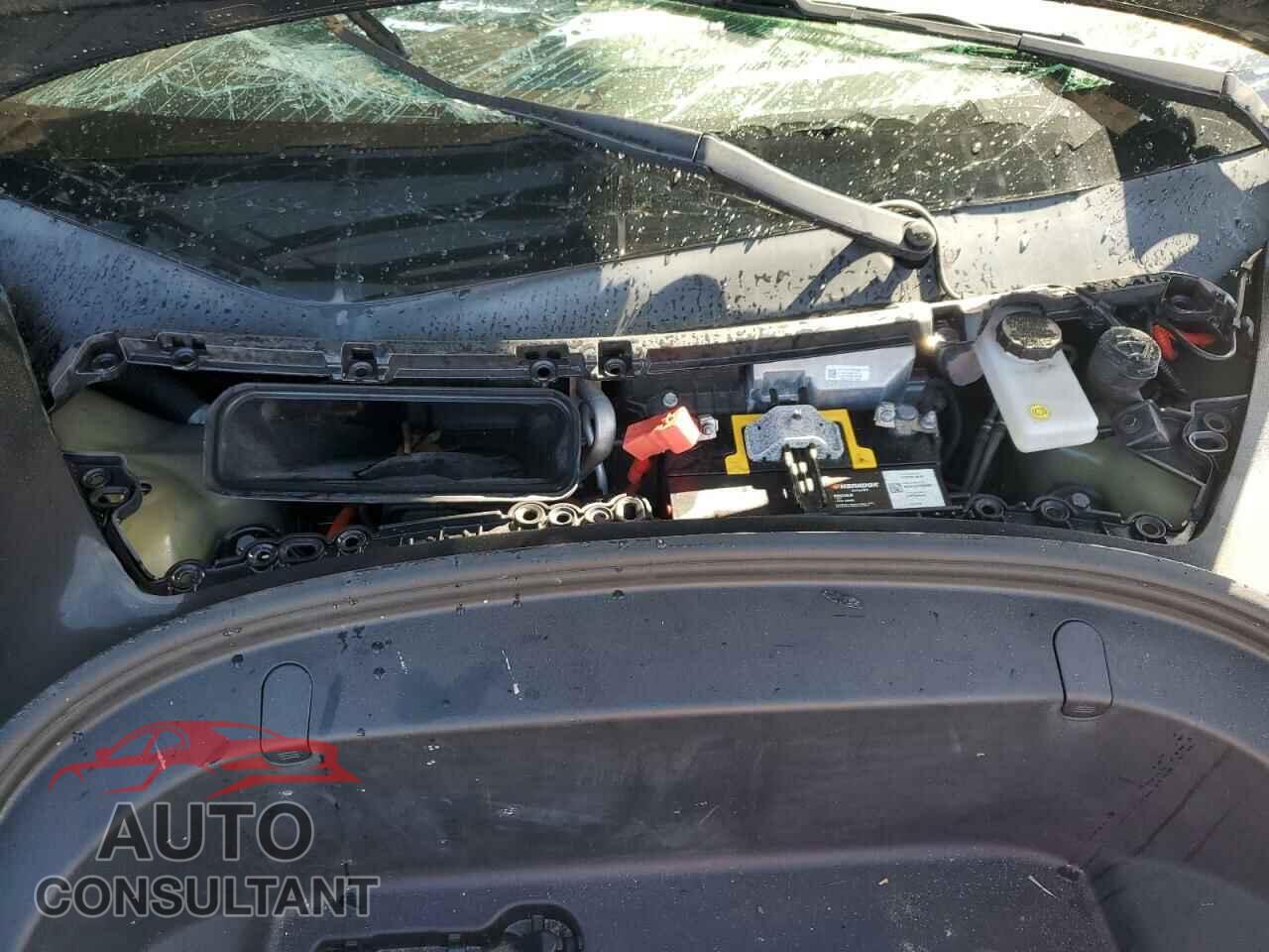 TESLA MODEL 3 2019 - 5YJ3E1EA5KF298099