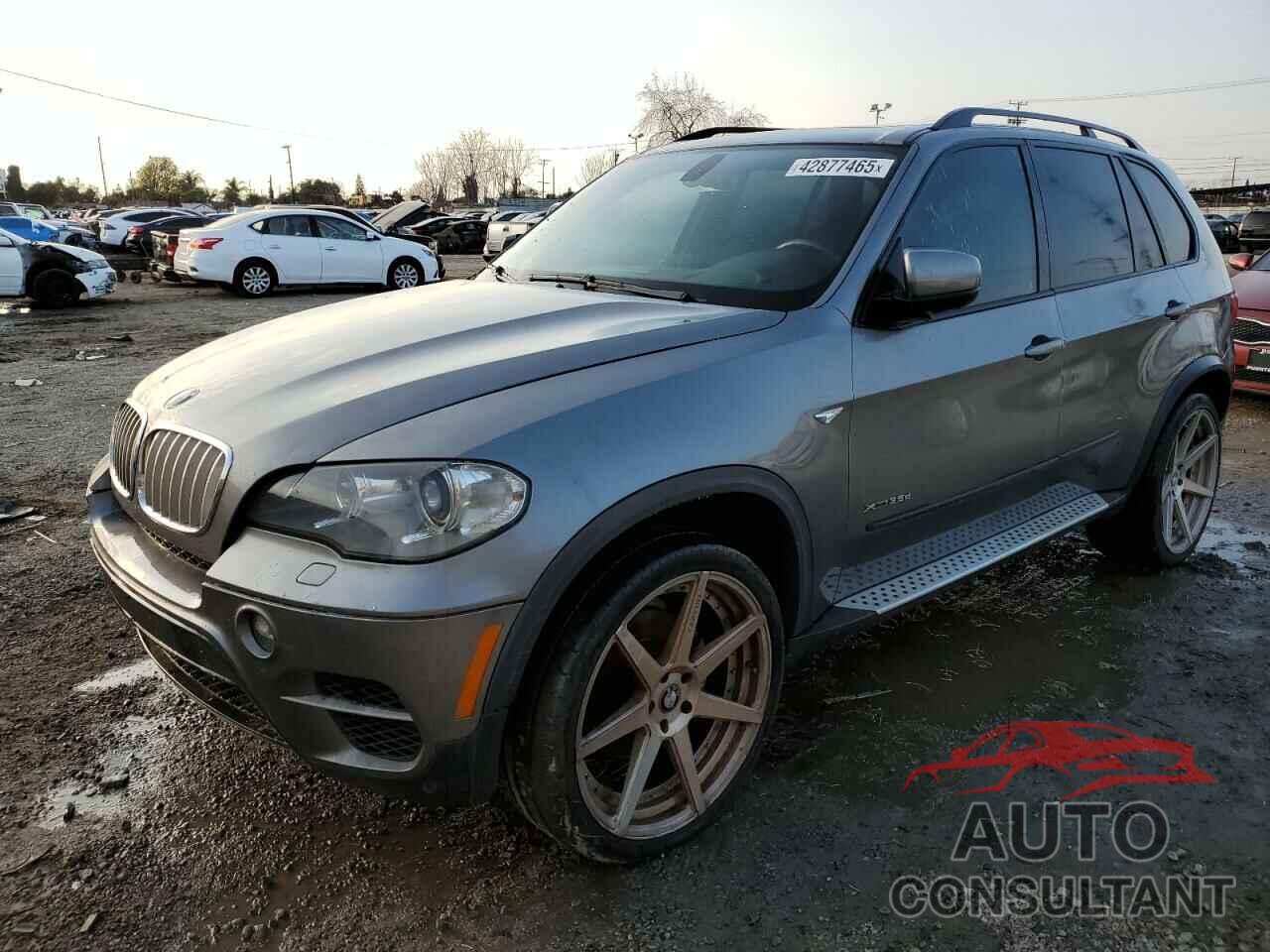 BMW X5 2011 - 5UXZW0C50BL660259