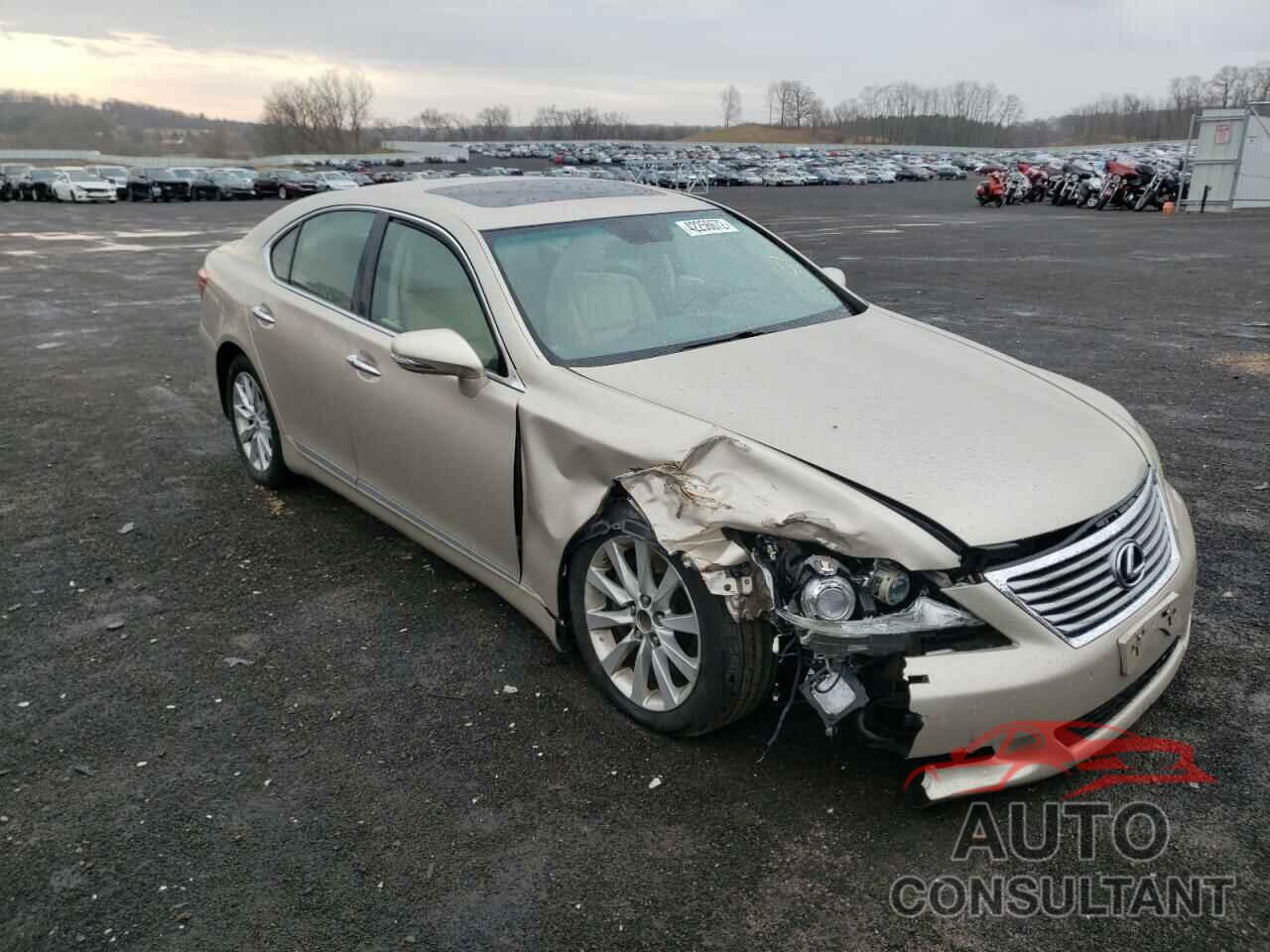 LEXUS LS460 2010 - JTHCL5EF6A5006080