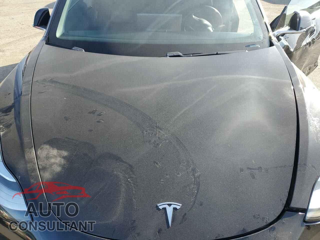 TESLA MODEL 3 2019 - 5YJ3E1EA7KF344872