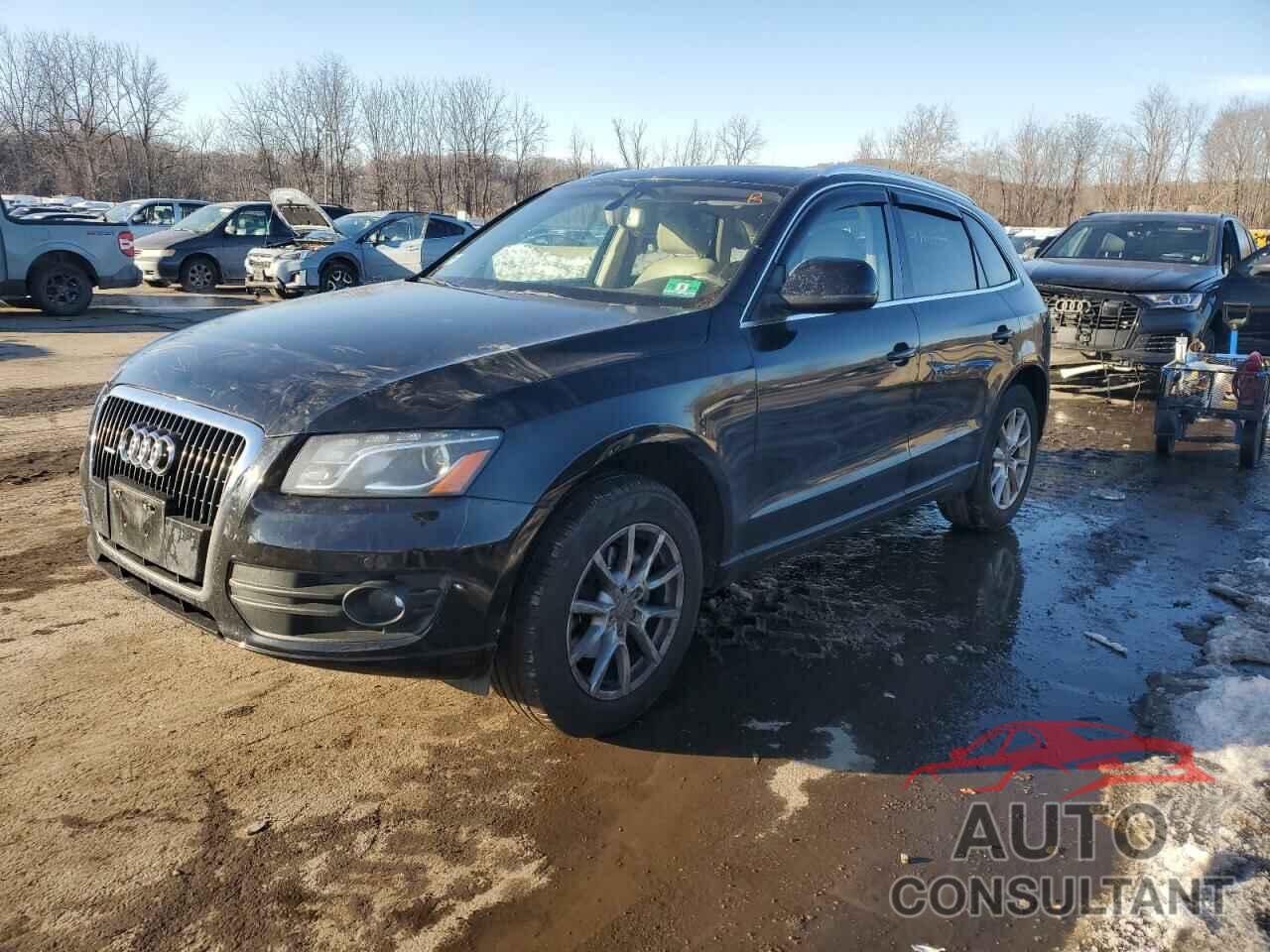 AUDI Q5 2010 - WA1LKAFP9AA051567