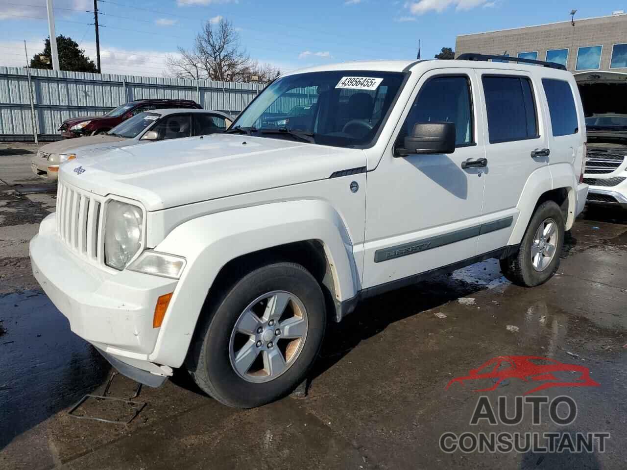 JEEP LIBERTY 2010 - 1J4PN2GK5AW130903