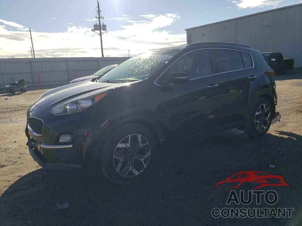 KIA SPORTAGE 2022 - KNDPN3AC0N7950013