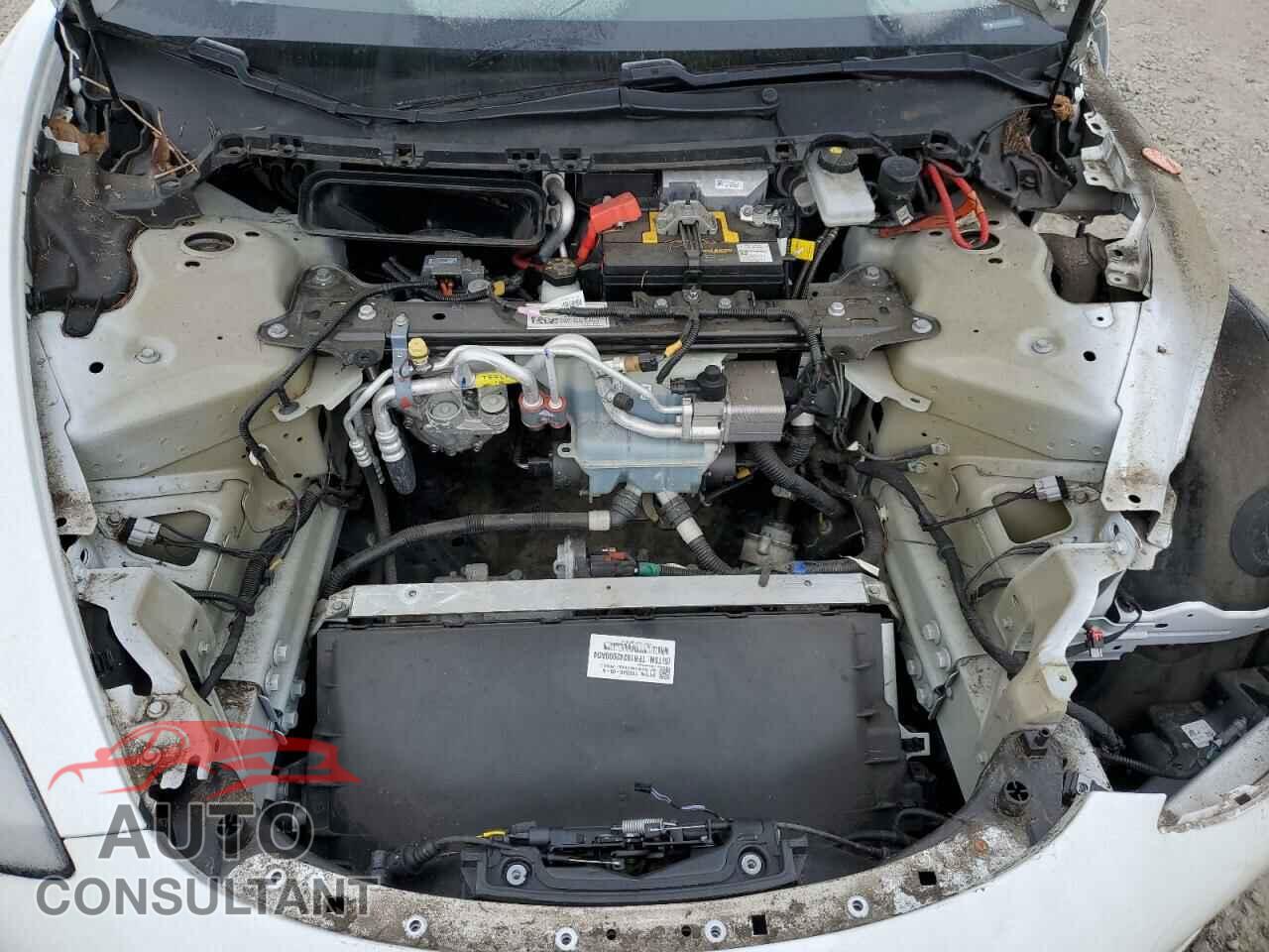 TESLA MODEL 3 2019 - 5YJ3E1EA7KF483593