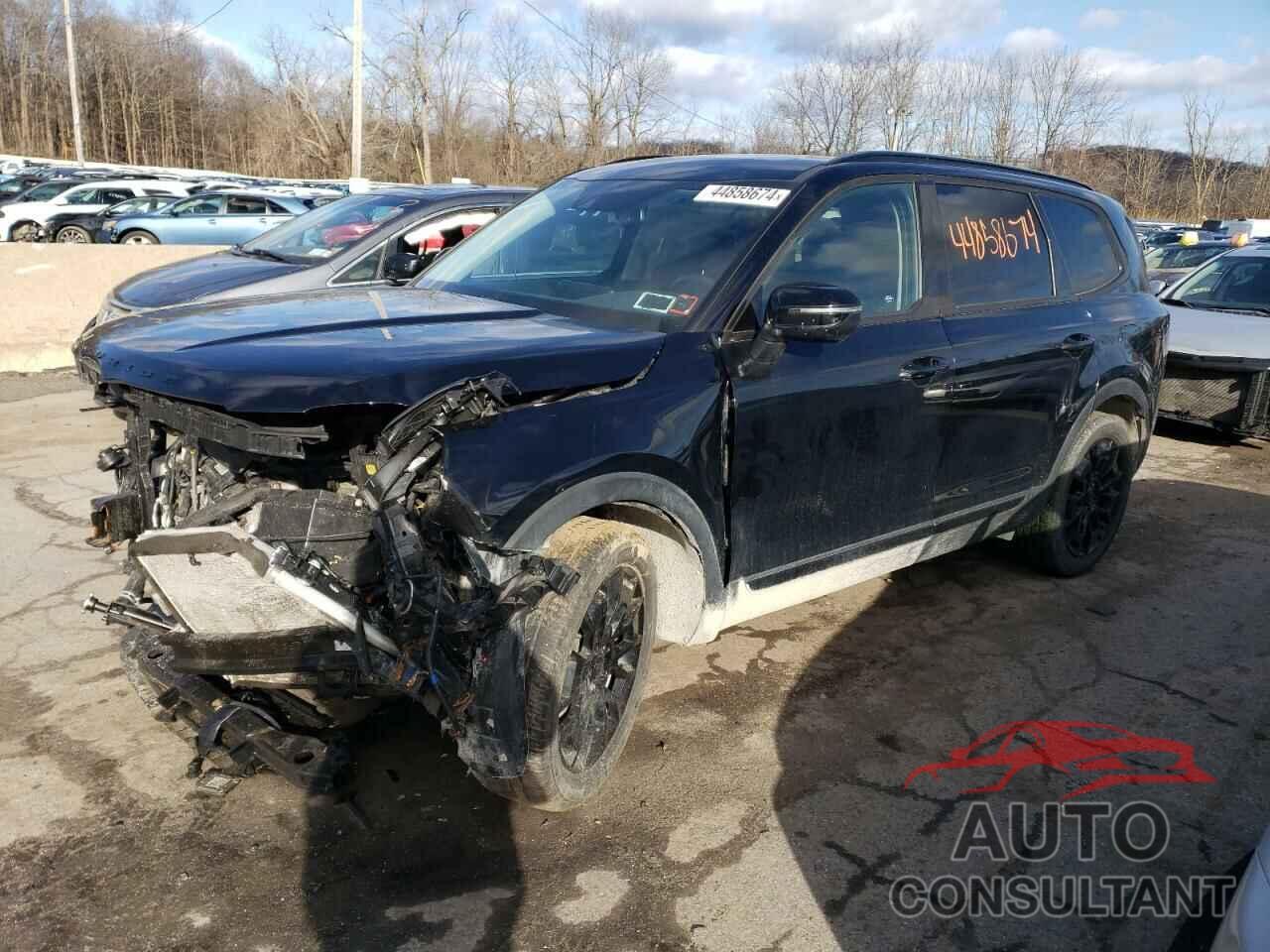 KIA TELLURIDE 2021 - 5XYP3DHC5MG174285