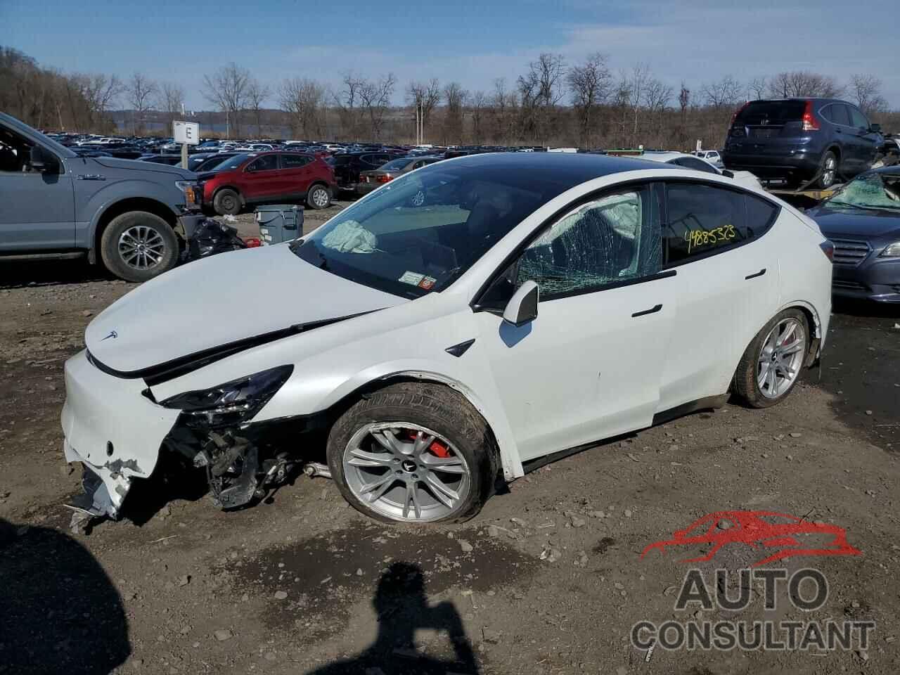 TESLA MODEL Y 2022 - 7SAYGDEF8NF505069