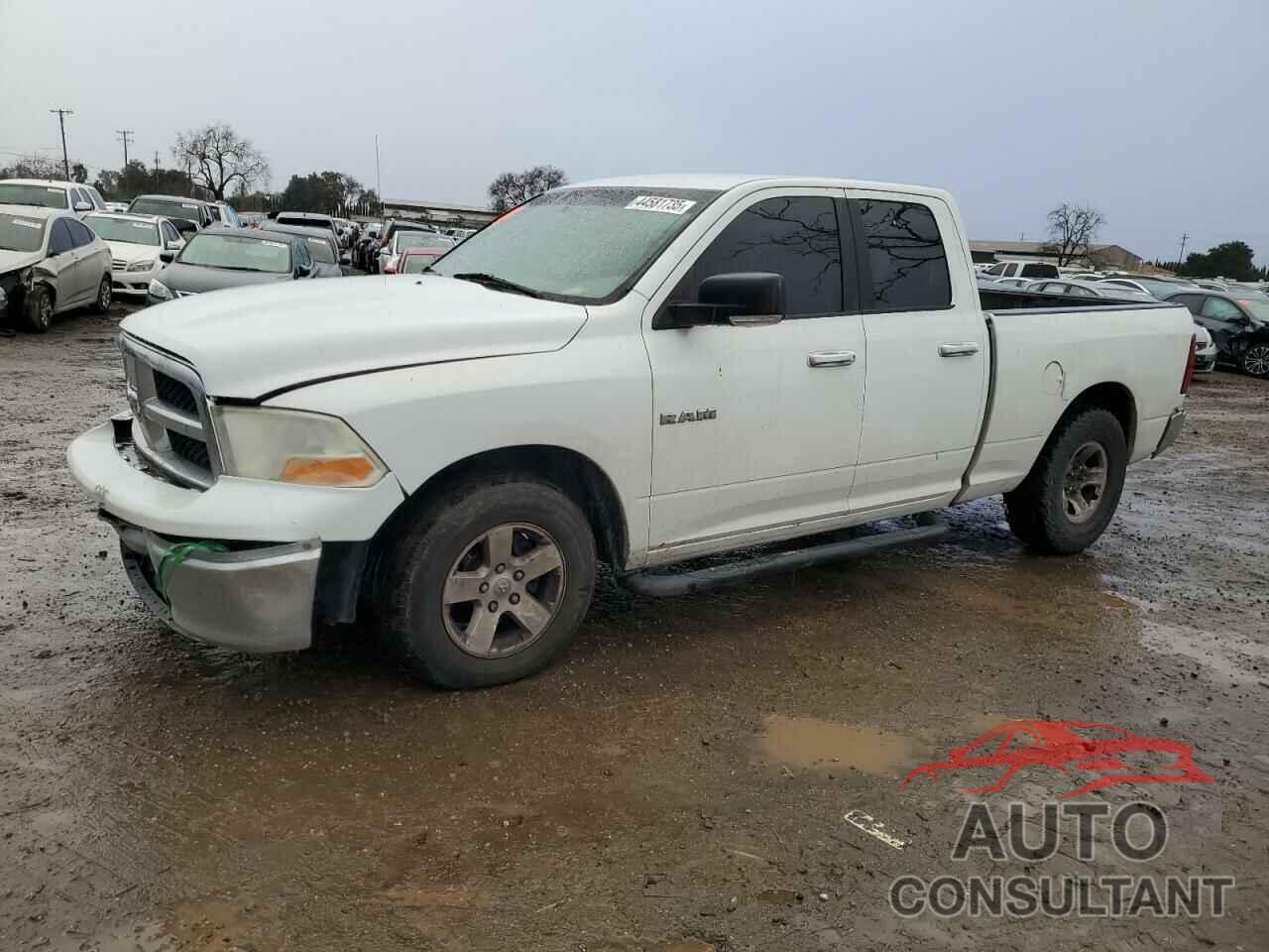 DODGE All Models 2010 - 1D7RB1GP0AS182224
