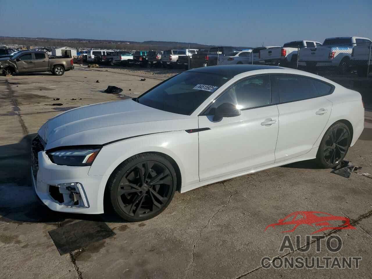 AUDI S5/RS5 2024 - WAUC4CF52RA104614