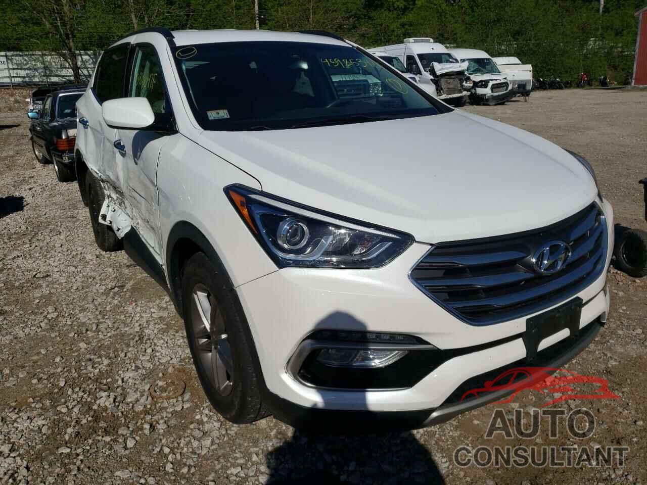 HYUNDAI SANTA FE 2017 - 5NMZUDLB8HH030469