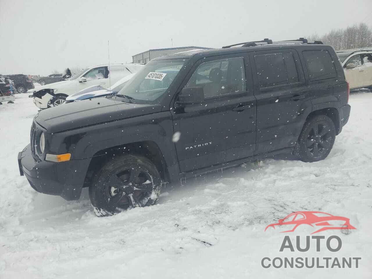 JEEP PATRIOT 2013 - 1C4NJRAB4DD166544