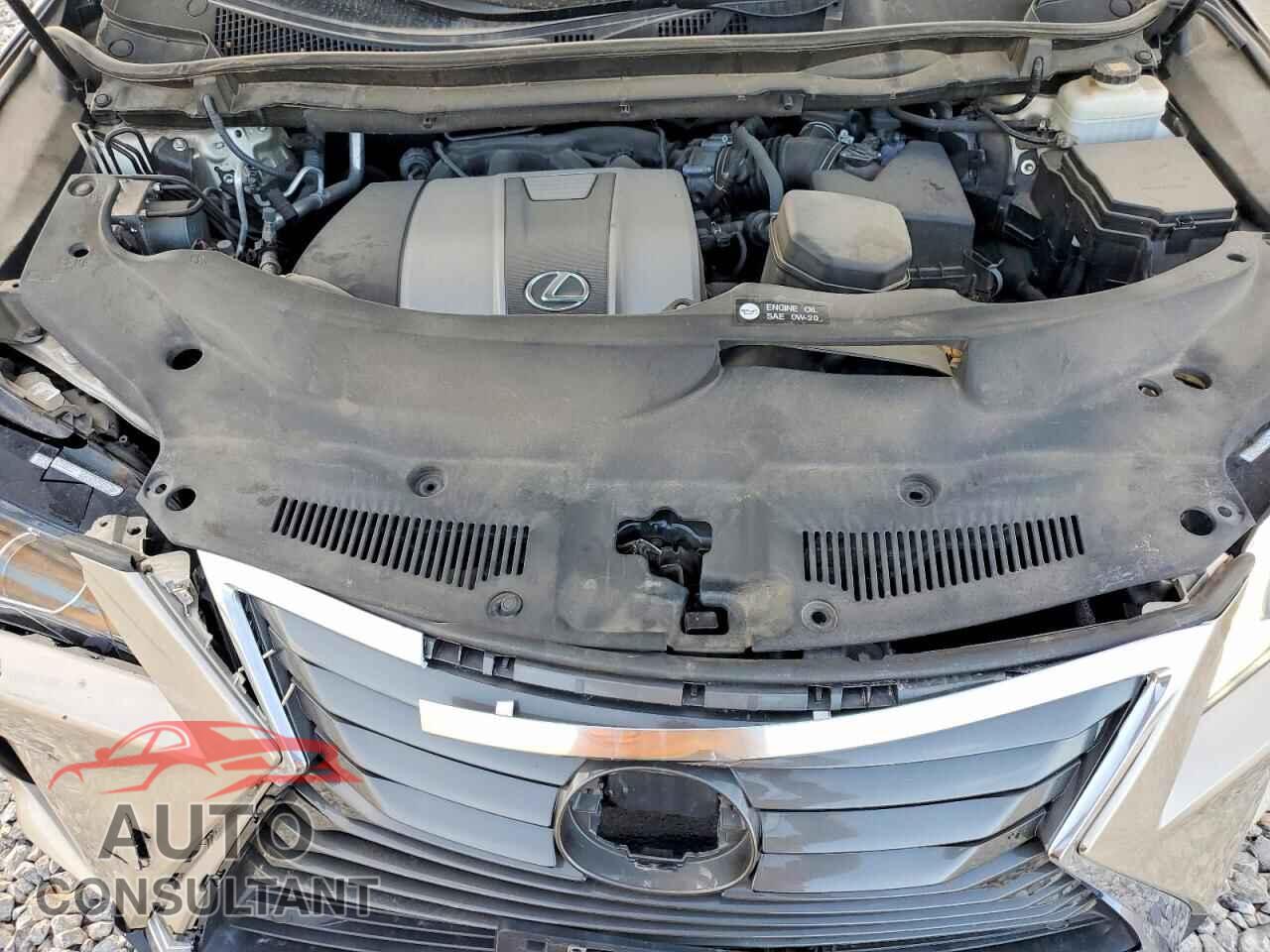 LEXUS RX350 2019 - 2T2BZMCA1KC194956