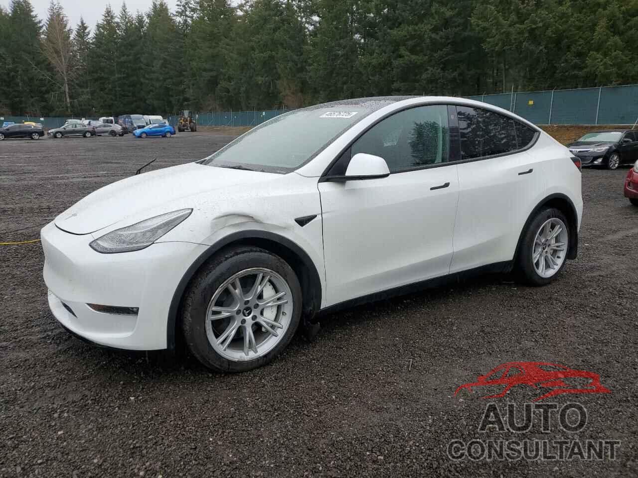 TESLA MODEL Y 2022 - 7SAYGDEE4NF380532