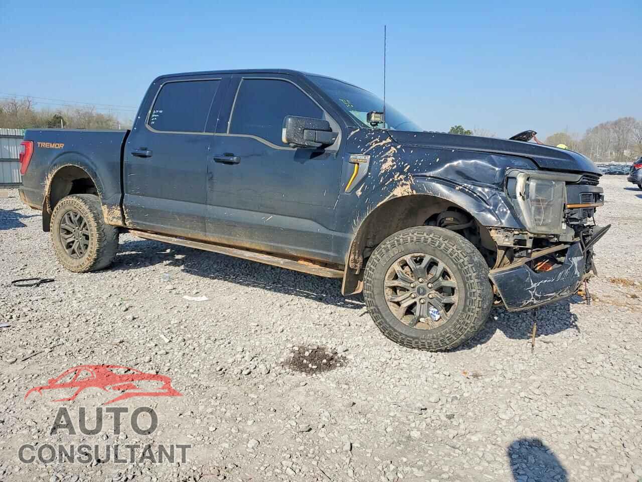 FORD F150 2021 - 1FTEW1E86MFC86237